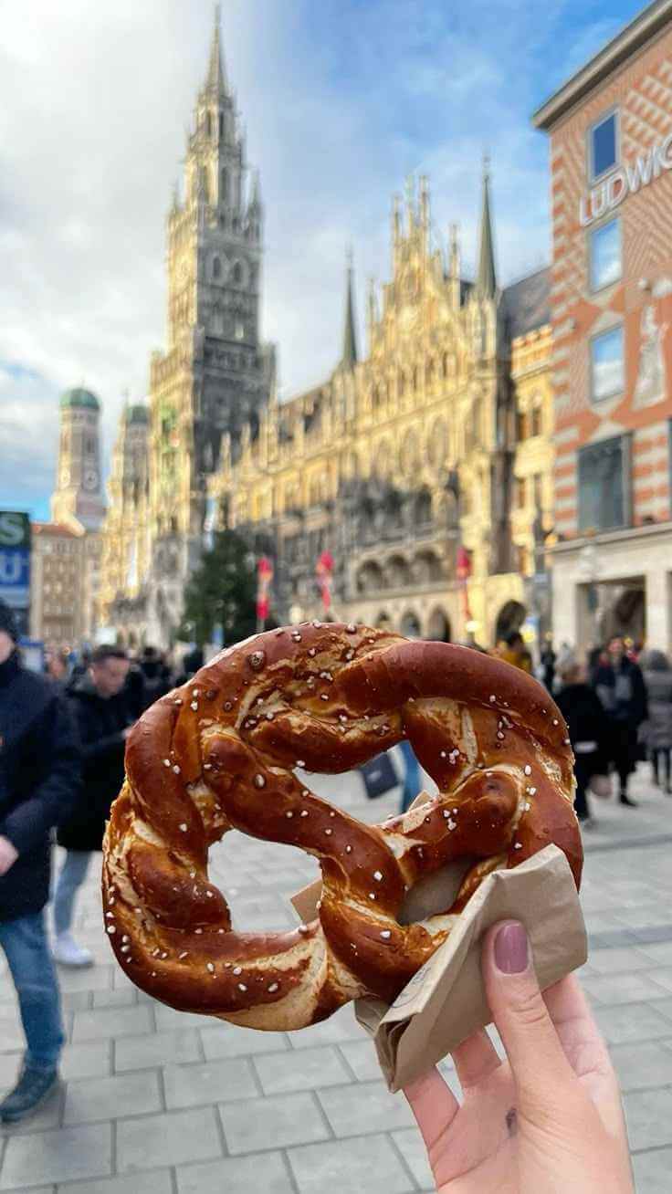Weinberge entlang des Rheins bei Sonnenuntergang